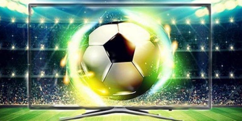 Nhận định đội yếu trong các giải đấu thế giới