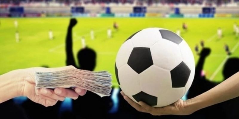 Cách đọc kèo handicap hiệu quả